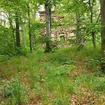 Ekologiczny 