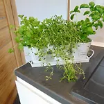 펜션 Ekologiczny 