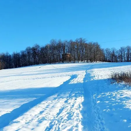 Ekologiczny 