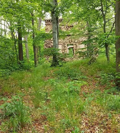 Ekologiczny 