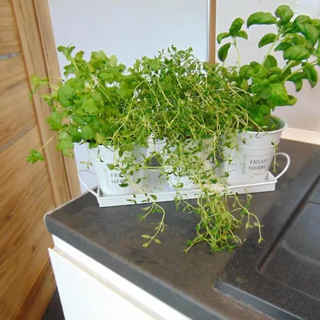 Feriehus Ekologiczny 